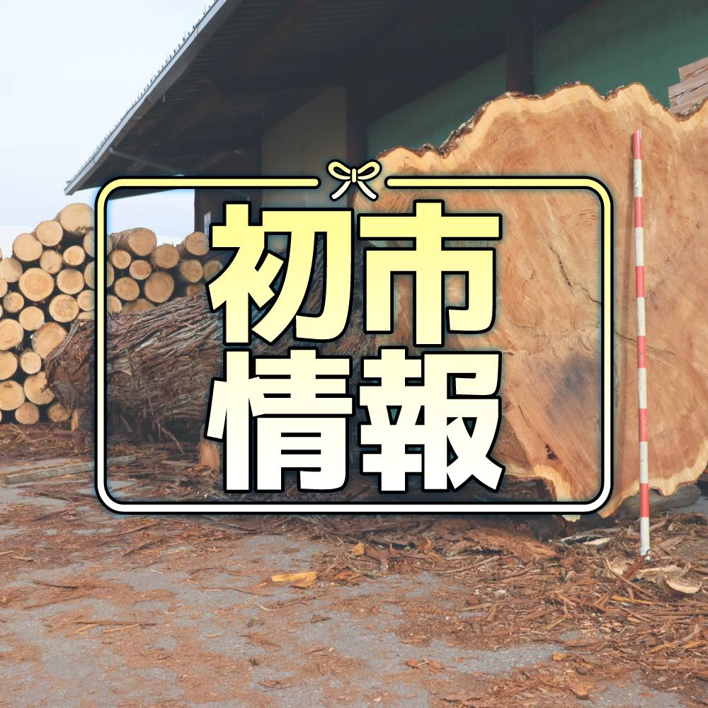 北信木材センター 初市「広葉樹祭り」準備中 | 長野県森林組合連合会