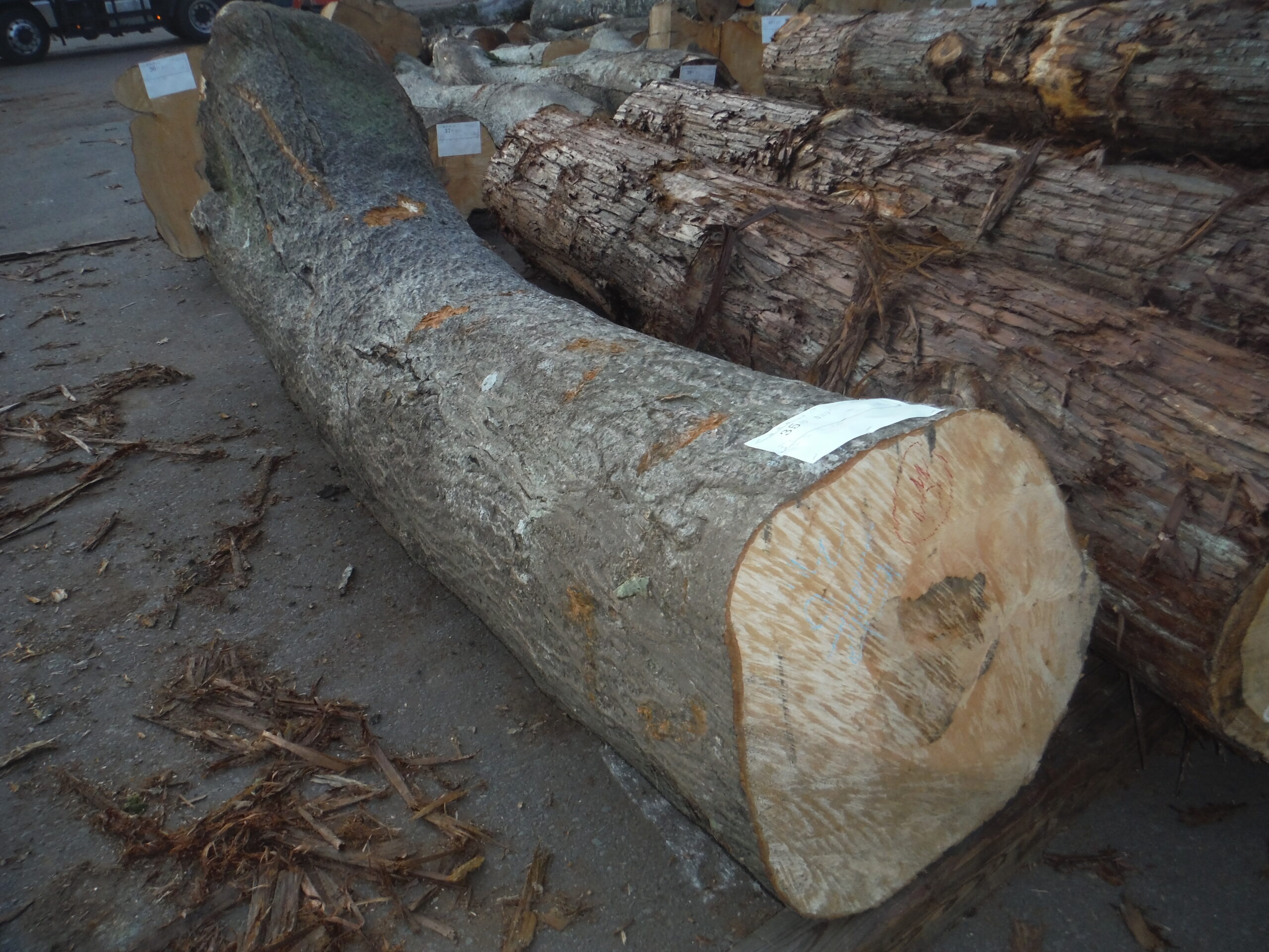 35号カエデ3.0×56