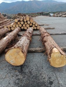 贄川国有林　1.2号