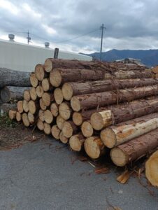 贄川国有林　5号