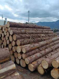 贄川国有林　6号