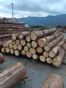 贄川国有林　7号