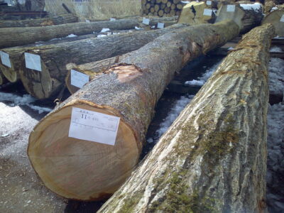 11号サクラ4.6×42