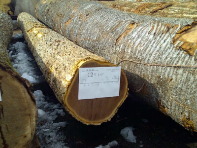 12号キハダ4.0×24