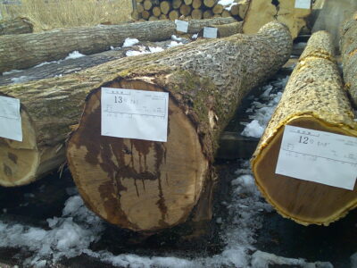 13号クルミ4.0×32