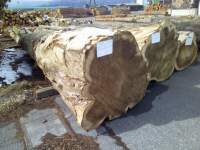 1号ホウ5.0×58（元口）