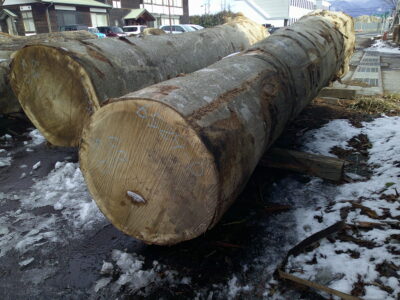 1号ホウ5.0×58（末口）