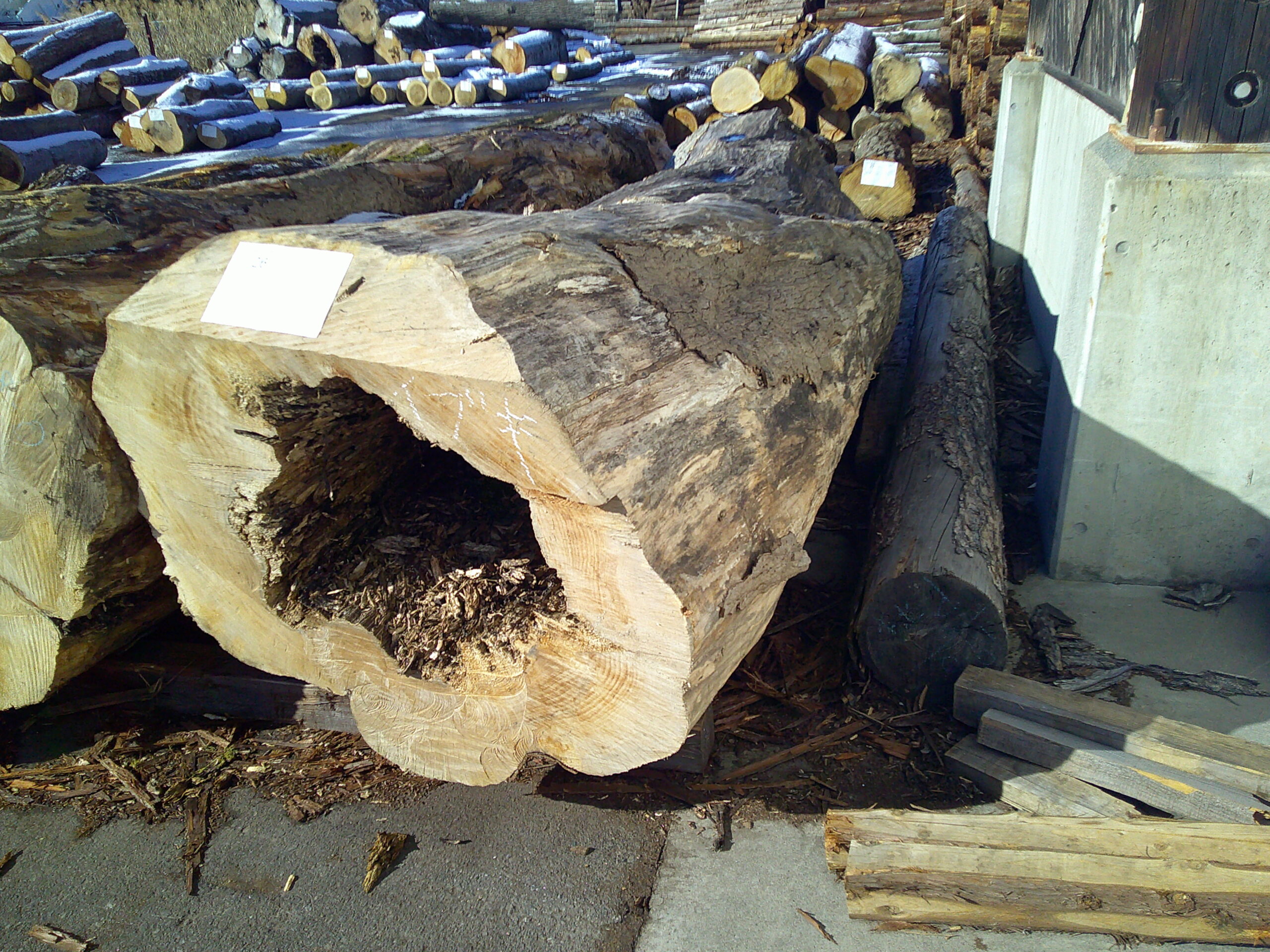 26号カエデ3.8×66