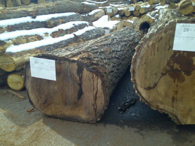 29号クルミ2.0×38