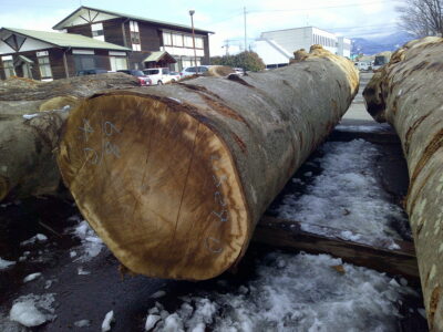 2号ホウ4.0×68（末口）