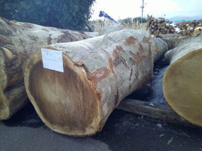 3号ホウ4.0×36（元口）