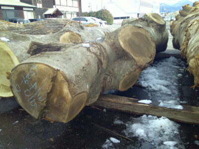 3号ホウ4.0×36（末口）