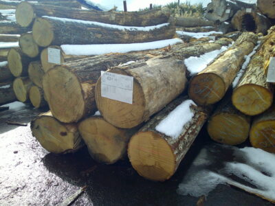 43号クリ3.0×24～30