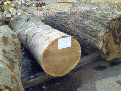 4号ホウ3.0×52（元口）