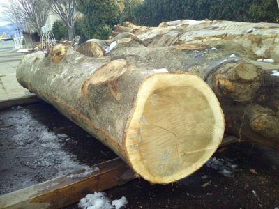 4号ホウ3.0×52（末口）