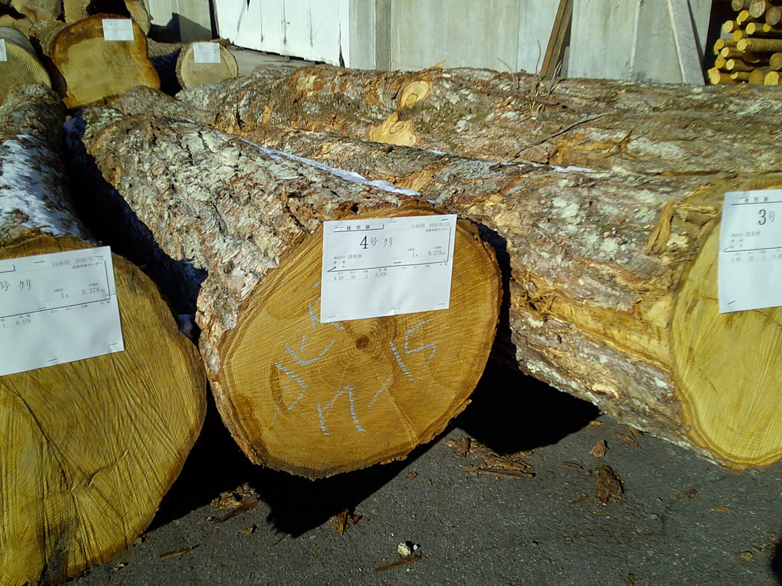 4号国有林クリ4.2×30