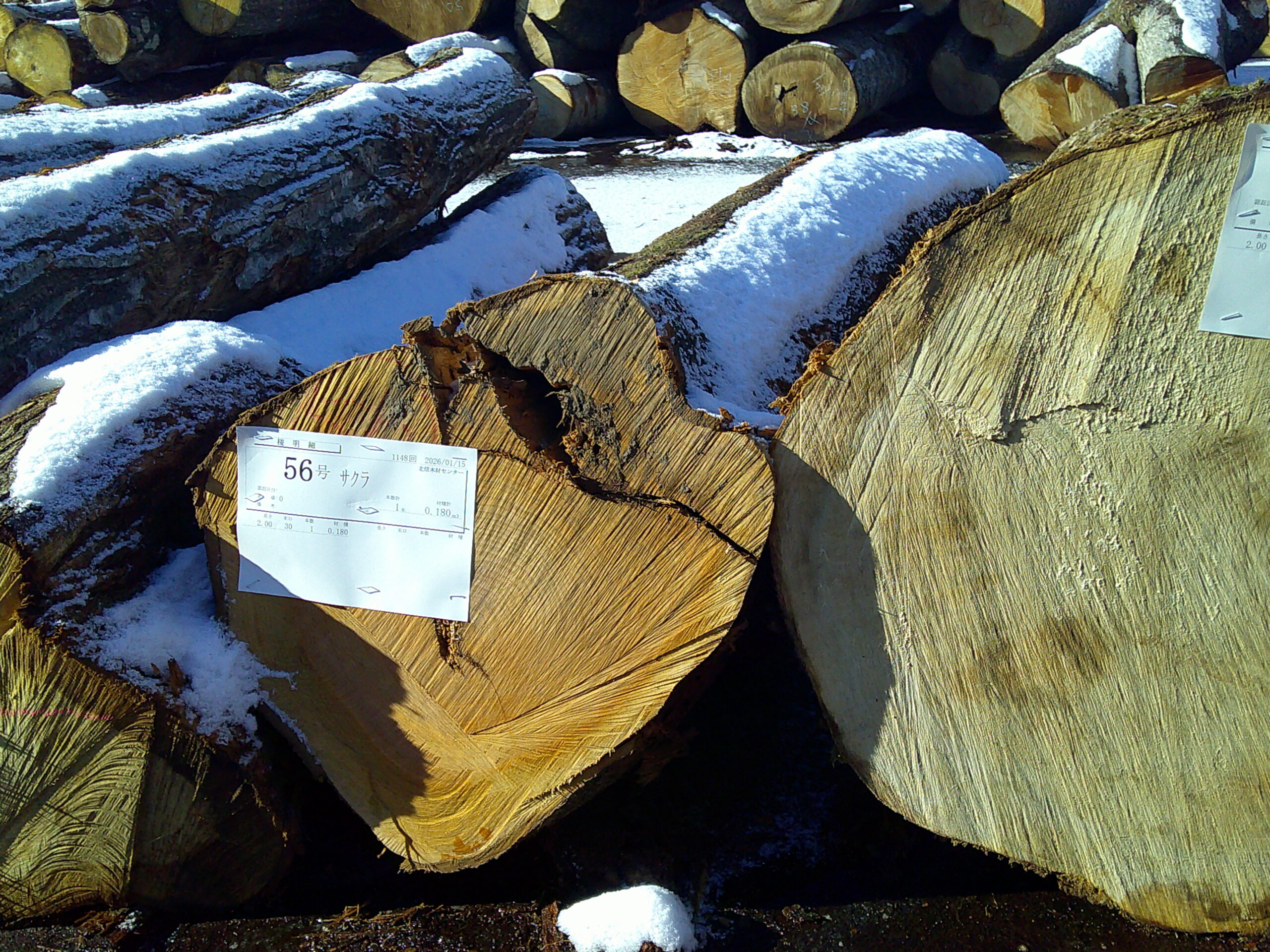 56号サクラ2.0×30