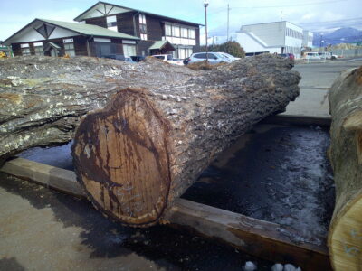 5号クルミ3.0×54（末口）