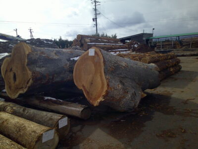 68号ケヤキ2.0×78-2.6×106