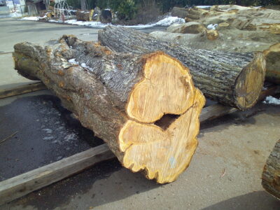 6号サクラ3.0×56（末口）