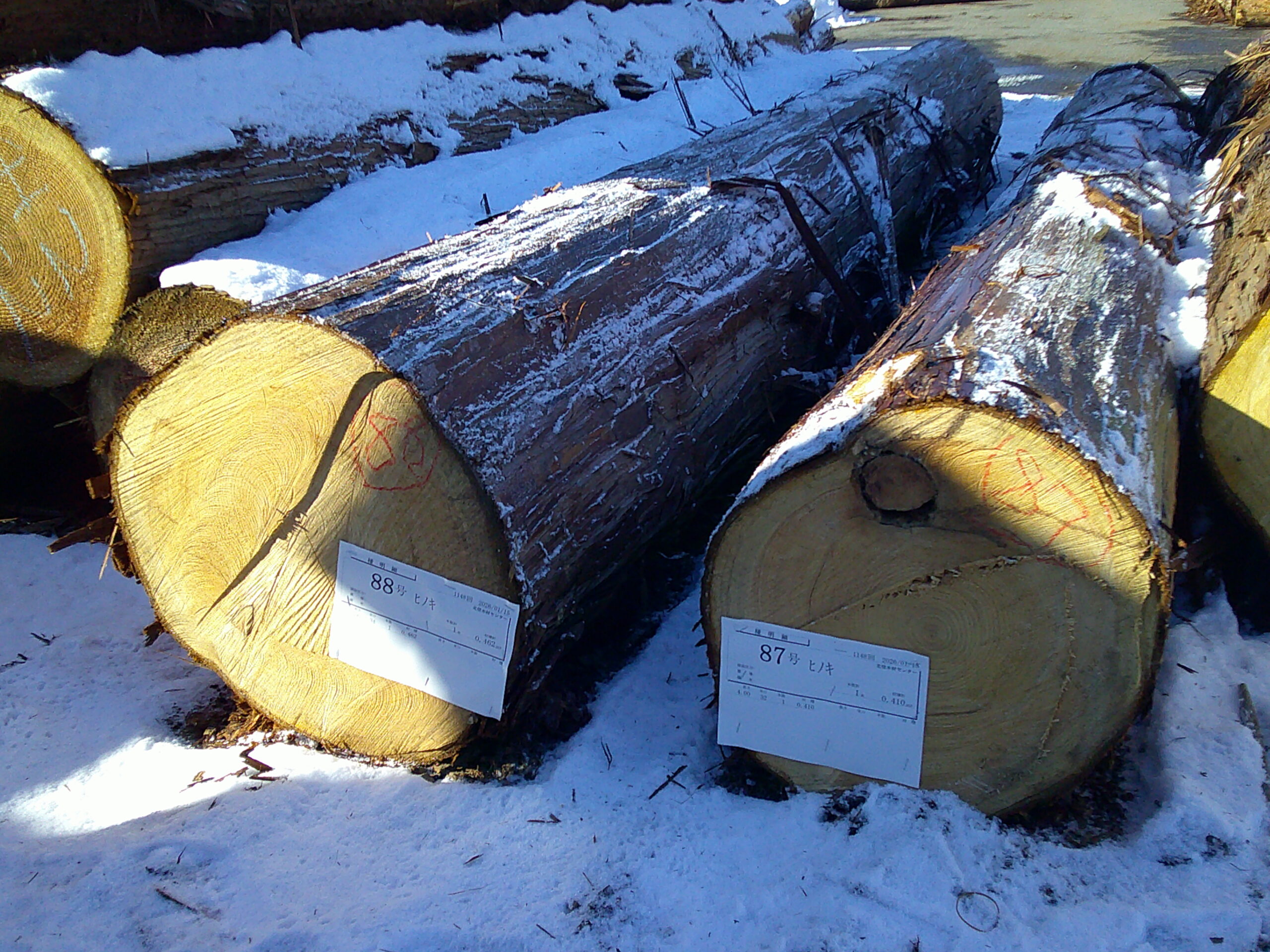 88号ヒノキ4.0×34