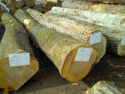 94号サクラ4.0×28