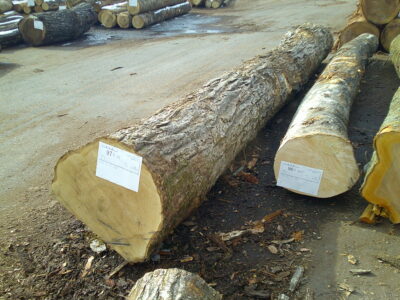 96号カエデ4.0×28-97号クリ4.0×34