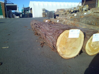 100号ヒノキ4.0×42