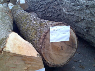 105号クルミ3.8×28