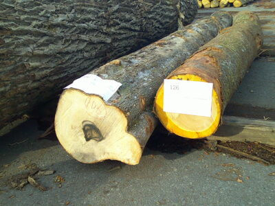 106号カキ3.0×26-126号サクラ2.8×24