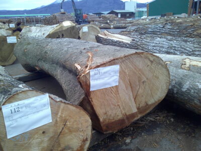 111号カエデ2.0×50