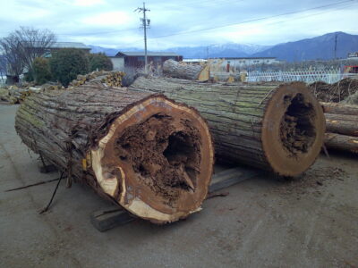 138号スギ3.4×104-3.6×108（末口)