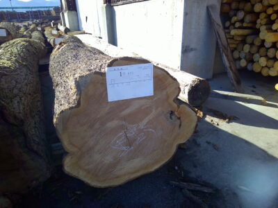 1号サクラ4.0×36