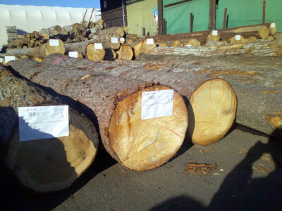 38号トウヒ4.0×44～46