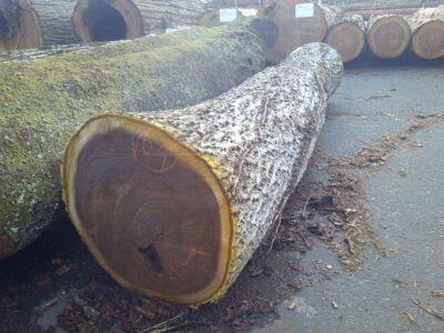 104号キハダ2.6×38