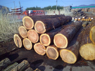 123号スギ4.0×42～54