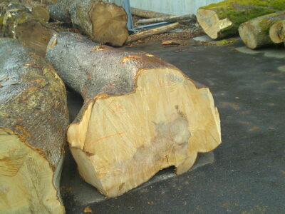 13号カエデ2.0×54