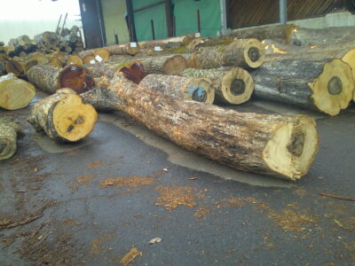 17号カキ1.2～3.0×24～30