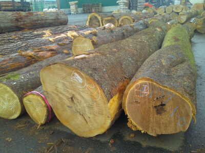 21号サクラ4.0×36