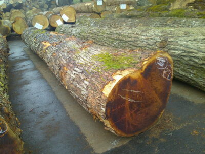 27号ケンポナシ4.0×38-1