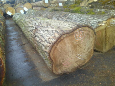 28号クルミ4.0×36