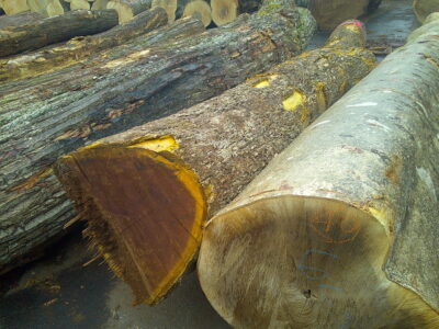 41号キハダ4.0×30