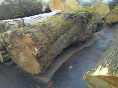 54号クルミ2.0×56