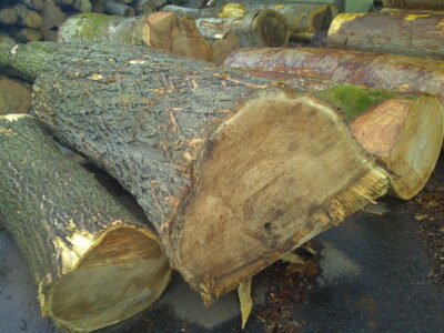 56号アカシア2.0×80