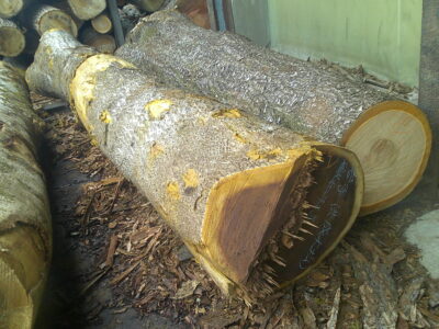 59号キハダ3.4×40