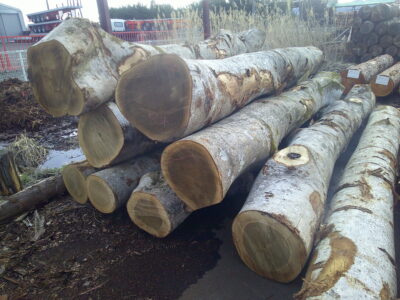 92号ホウ4.0×24～38